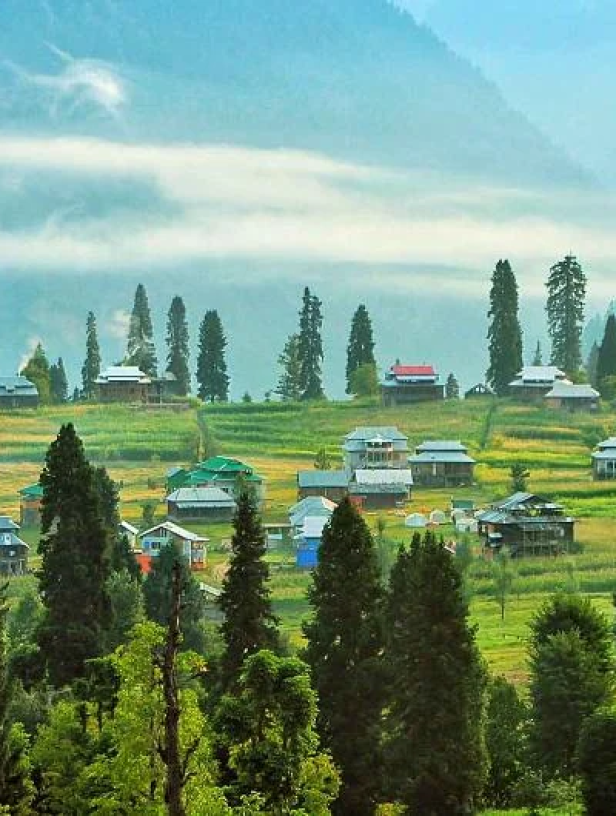 5c4c895ae6845869db1b9e2477433701b3a3f68f